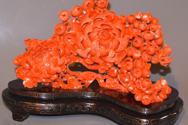 Chrysanthème en corail rouge    Chine XX° siècle